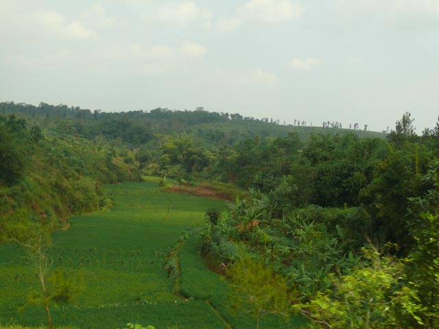 P1030695